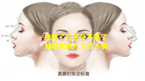 抽脂了几天会不痛了 抽脂要痛几天才不痛